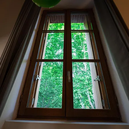 Le Petit Brienne - Centre-ville Aeroport Tbs * Toulouse