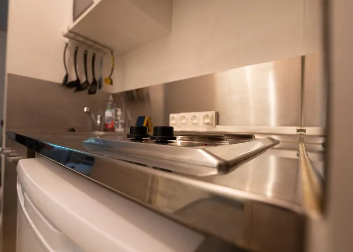 Le Petit Brienne - Centre-ville Aeroport Tbs Apartment Toulouse