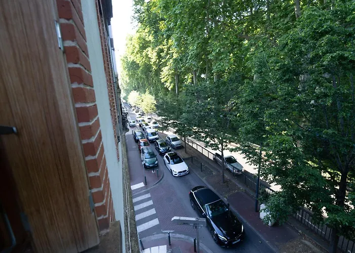 Apartment Le Petit Brienne - Centre-ville Aeroport Tbs Toulouse