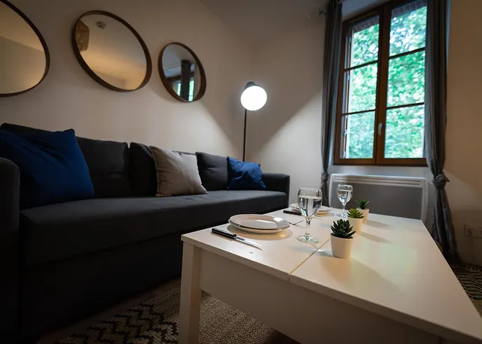 Le Petit Brienne - Centre-ville Aeroport Tbs Apartment