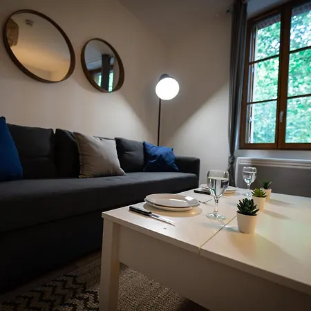 Le Petit Brienne - Centre-ville Aeroport Tbs Lägenhet